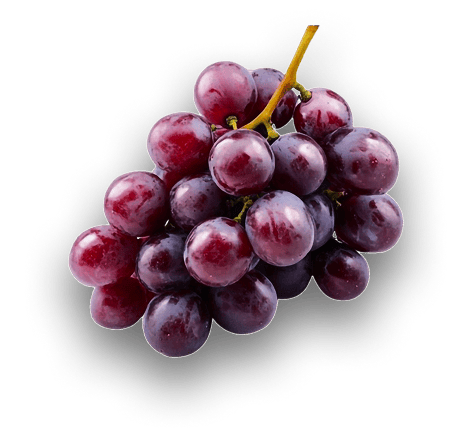 Uvas-18k-Wine-1 - Copia (3)