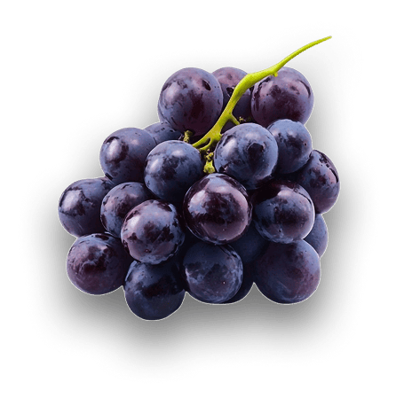 Uvas-18k-Wine-2 - Copia (2)