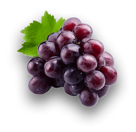 Uvas-18k-Wine-3 - Copia (3)