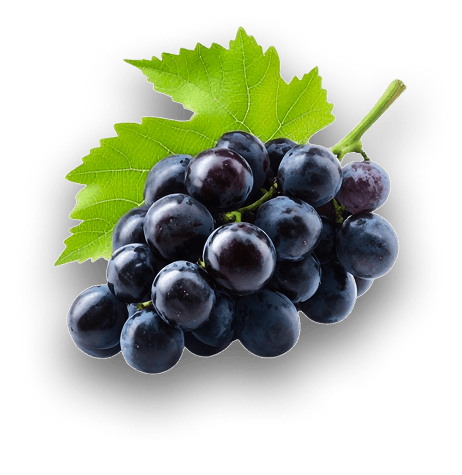 Uvas-18k-Wine-4 - Copia (2)